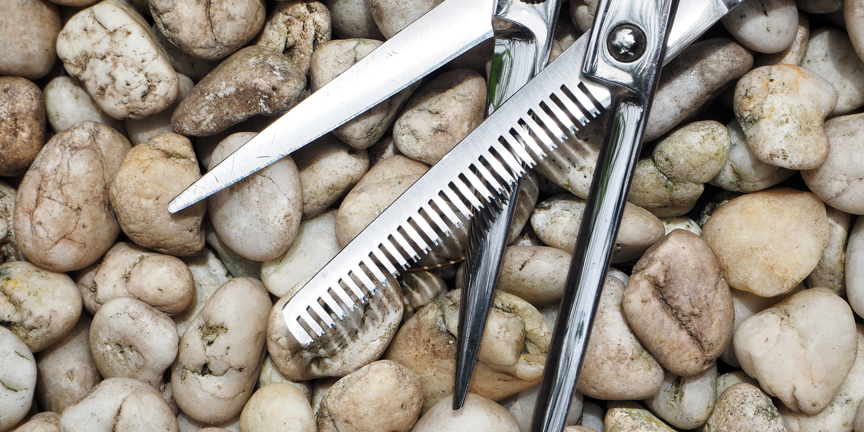 Building a Long-Term Maintenance Calendar for Your Hair Shears
