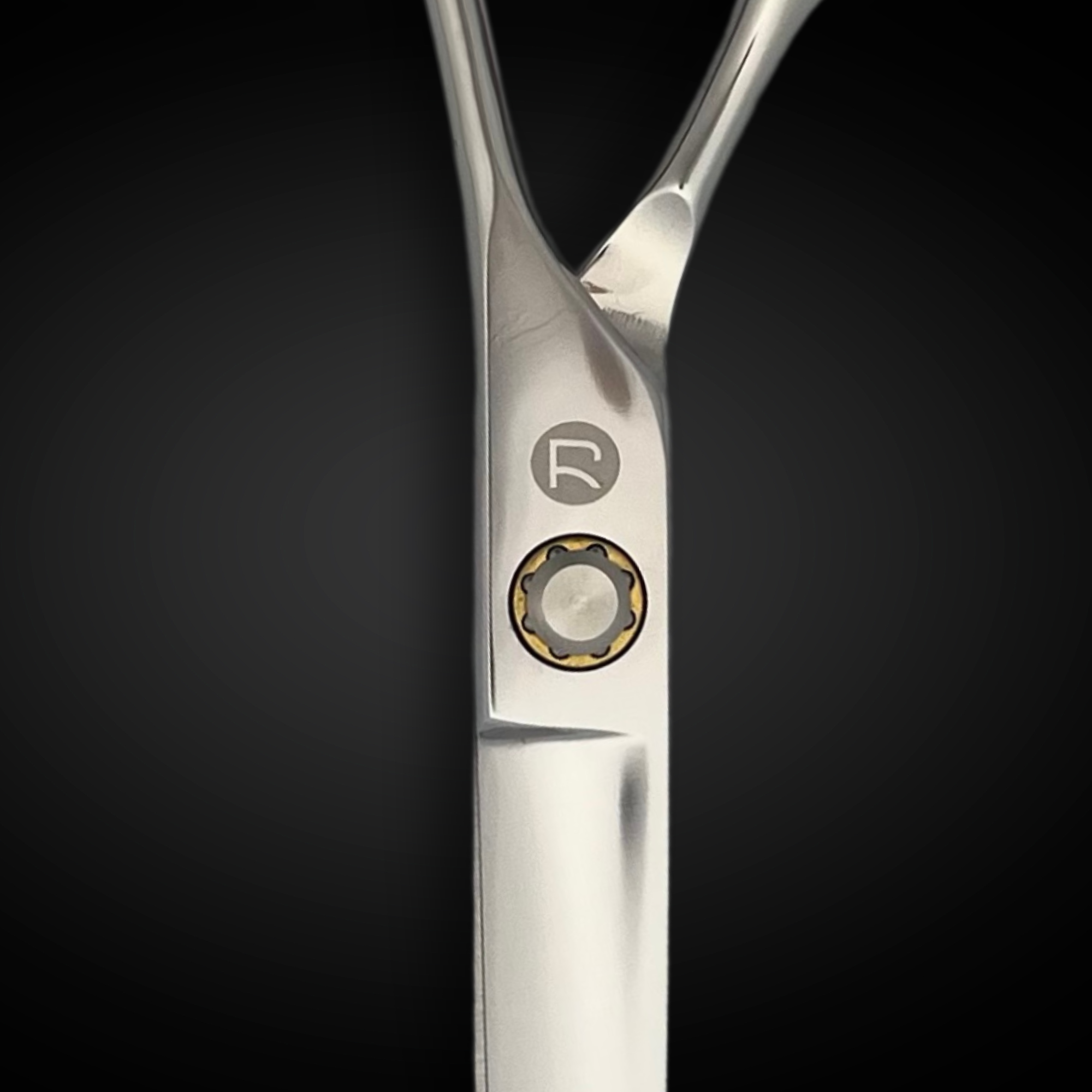 Hair Cutting Scissors by Saki Shears (Special Promo)
