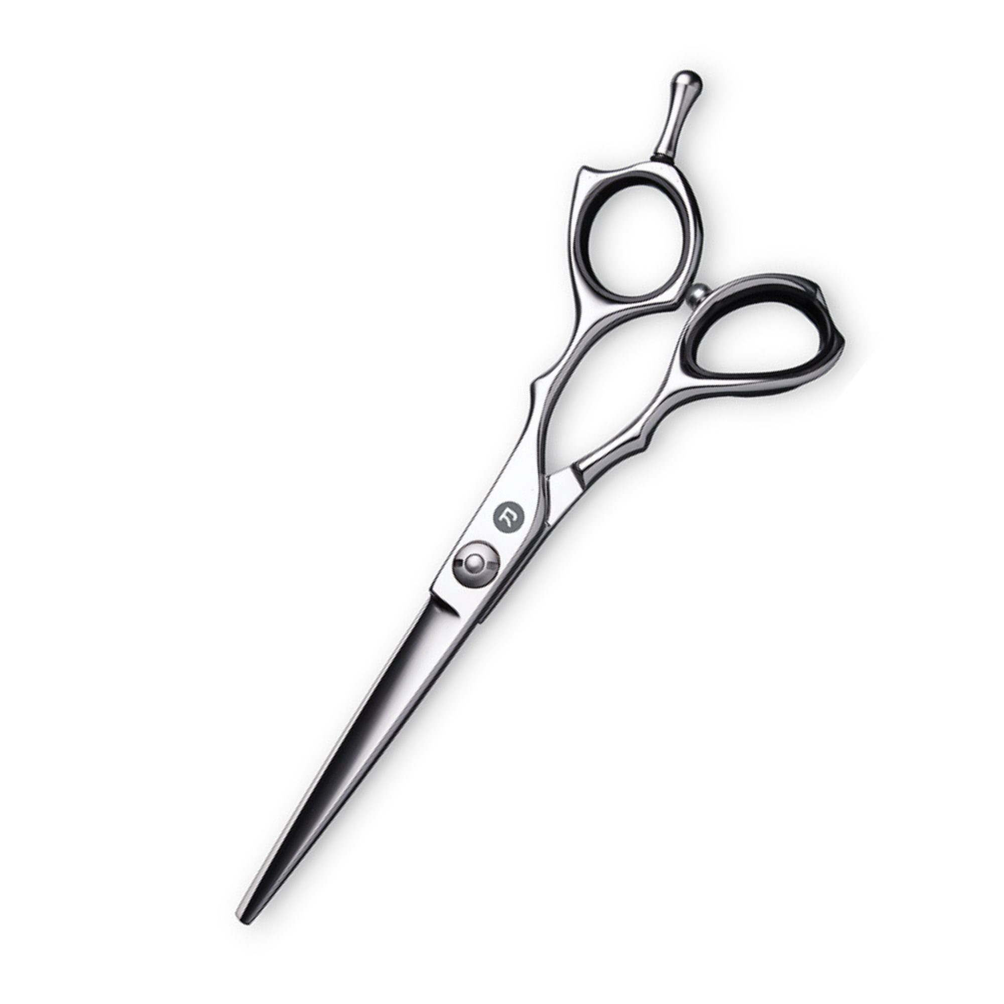 Professional Hair Scissors 5 Inch with Extremely Sharp Blades, 440C Steel  Hair Cutting Scissors, Durable, Smooth Motion & Fine Cut, Barber Scissors
