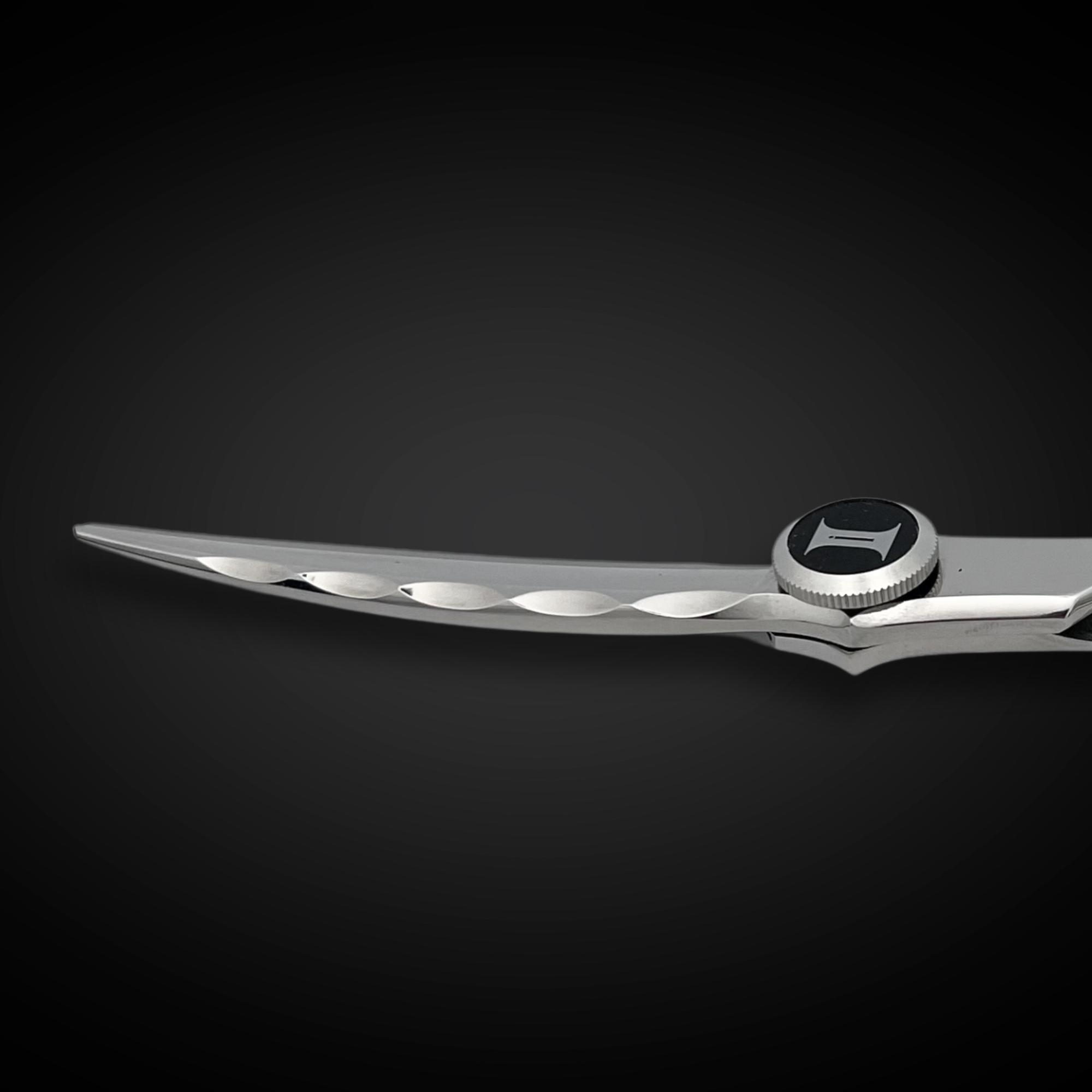 6" Curved Blade Hair Cutting Shears - Horizon - Open Box