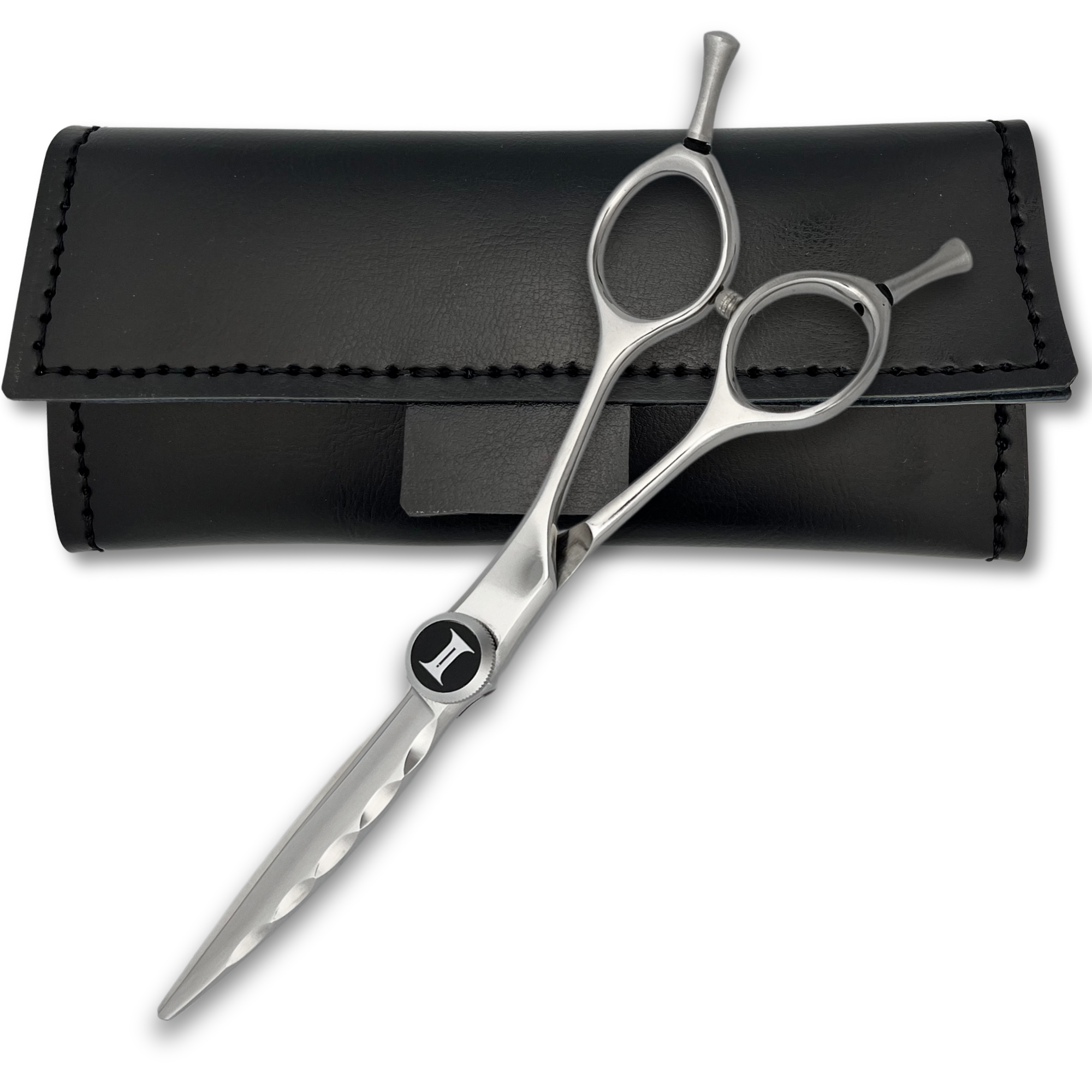 6" Curved Blade Hair Cutting Shears - Horizon