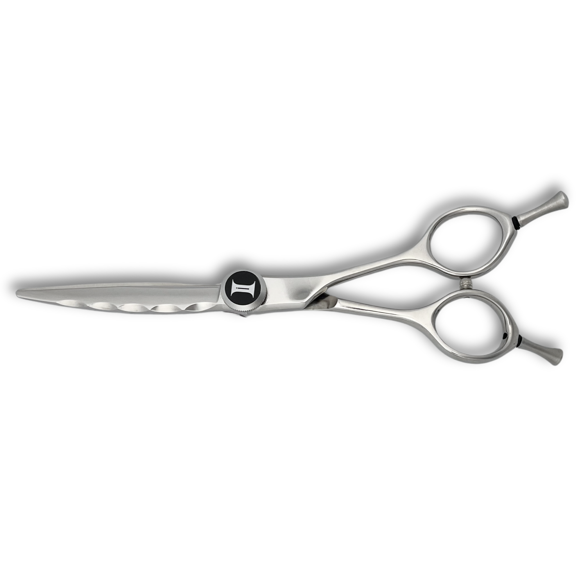 6" Curved Blade Hair Cutting Shears - Horizon - Open Box