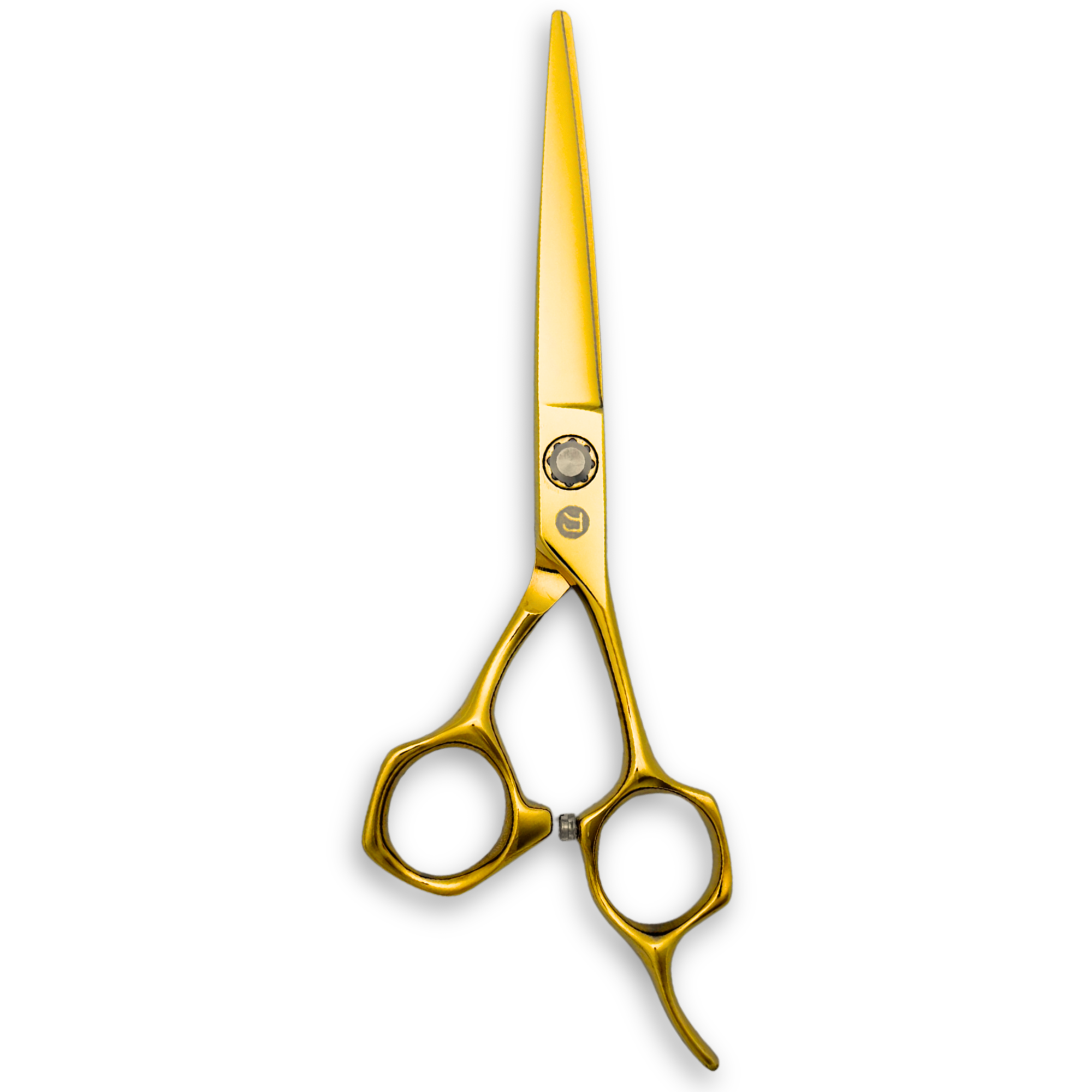 Ciseaux de coiffure de 7 pouces (promotion spéciale)
