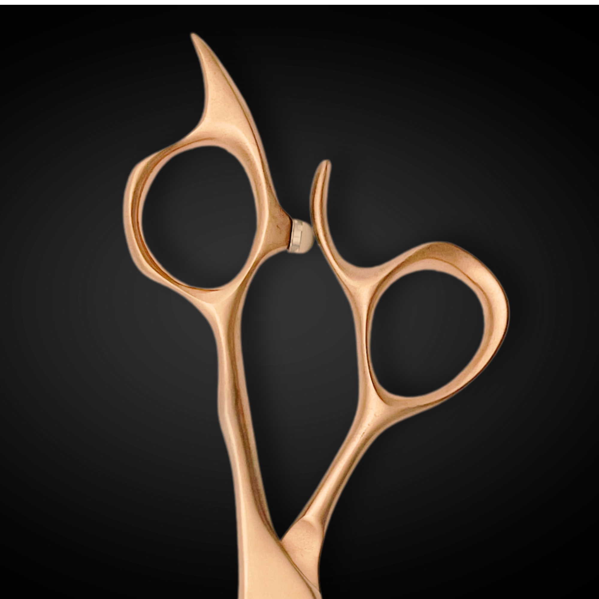 Premium Gold Hair Shears Set (Hair Cutting and Thinning Shears) - Open Box