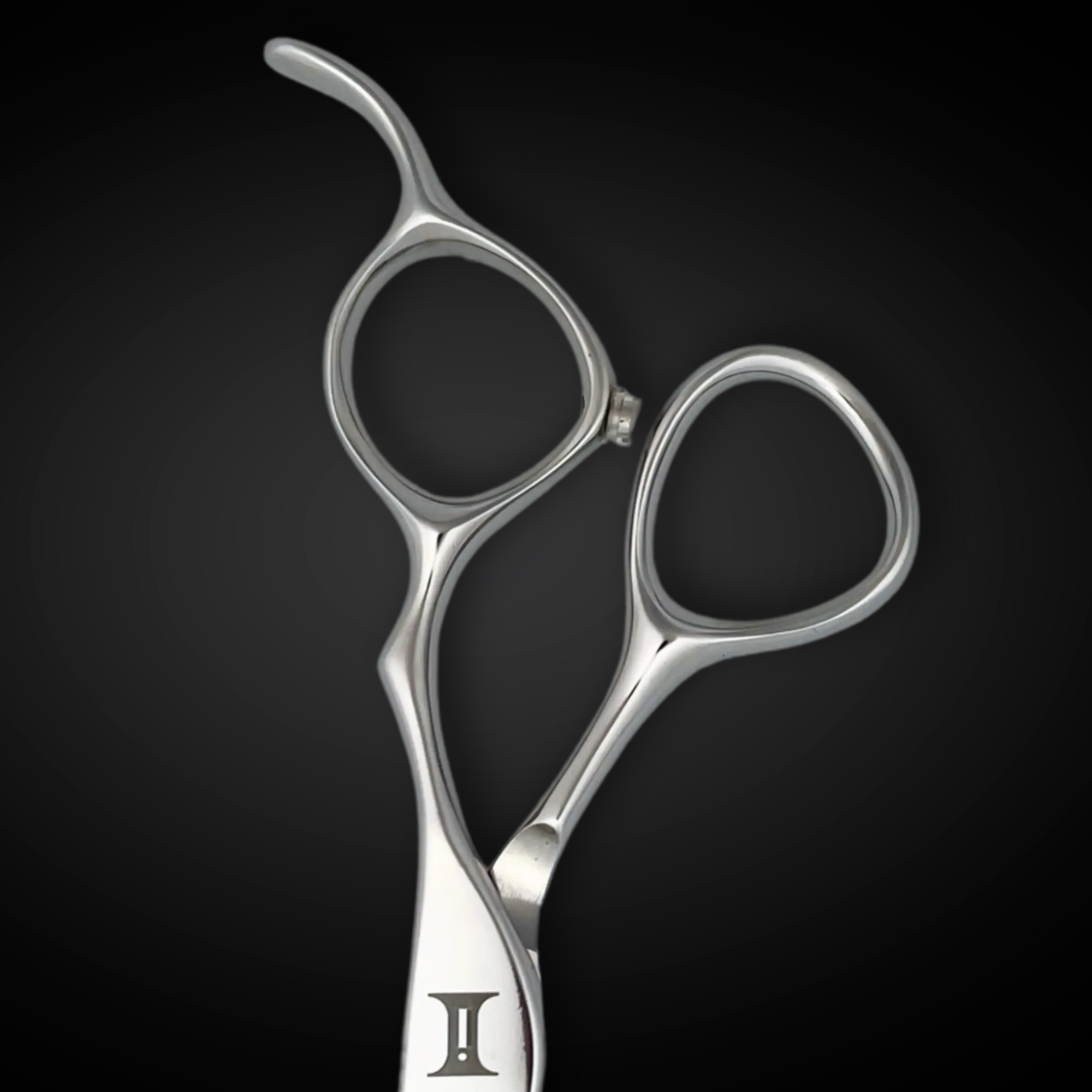 6" Hair Cutting Shears - Ascent