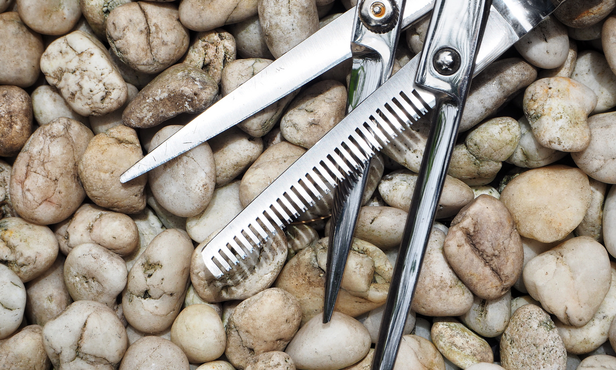 Hair Shears and Scissors