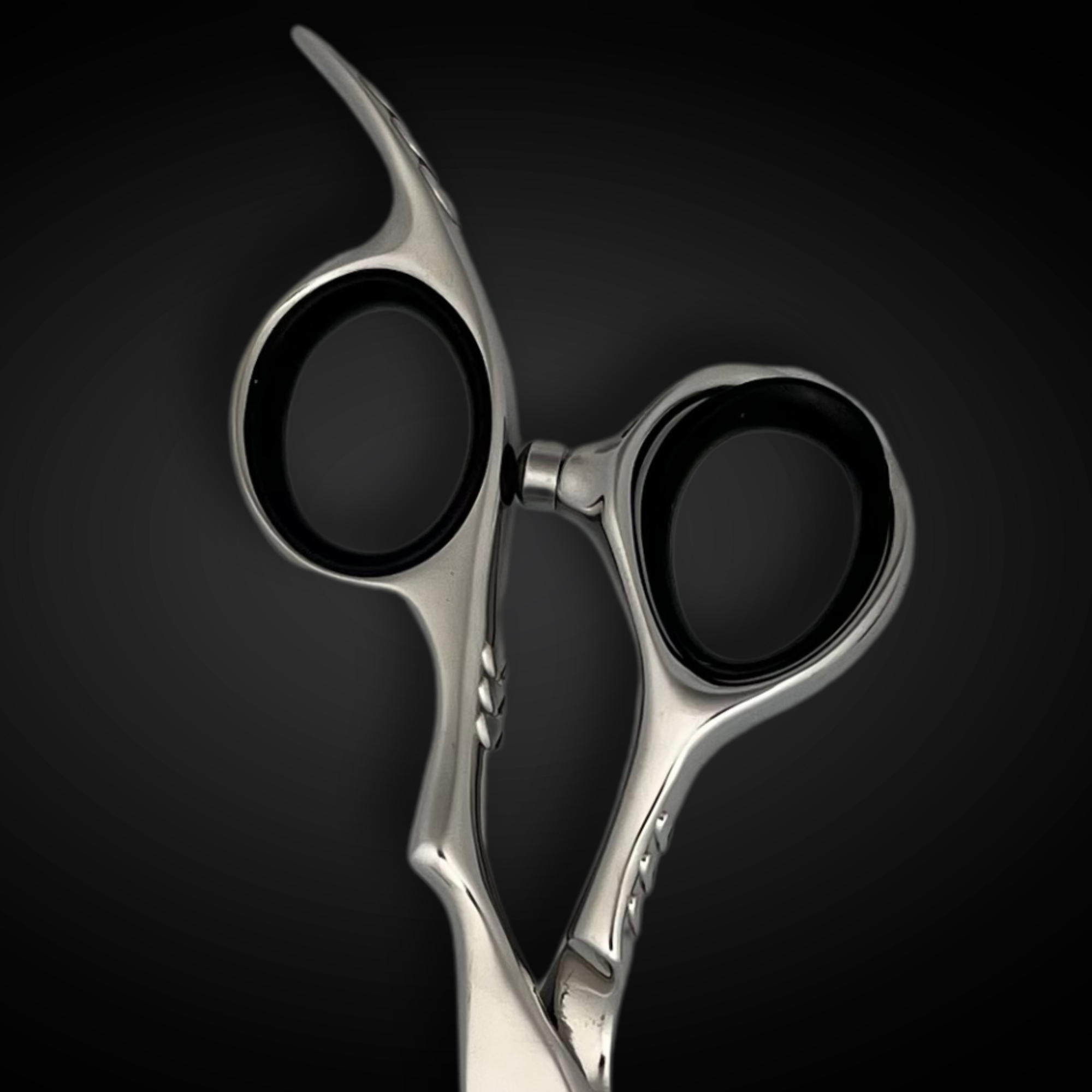 6.5" Salon One Professional Hair Cutting Shears