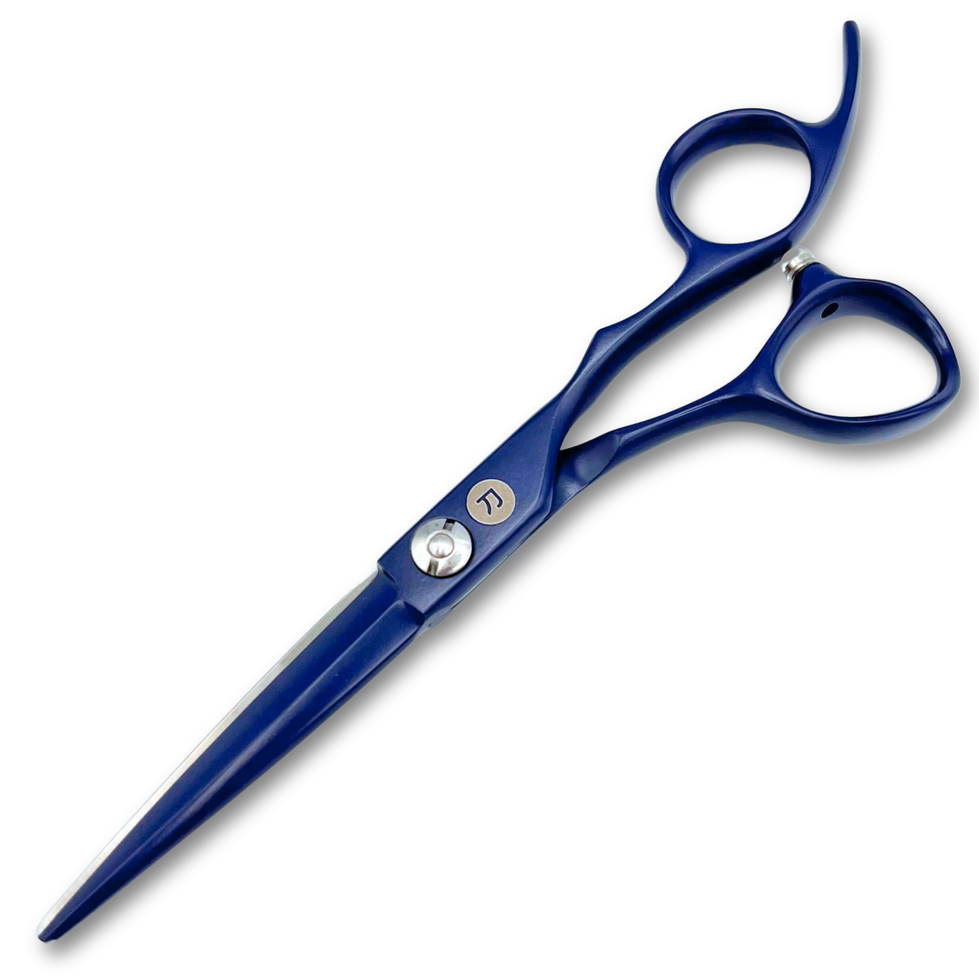 Blue Hair Cutting Shears