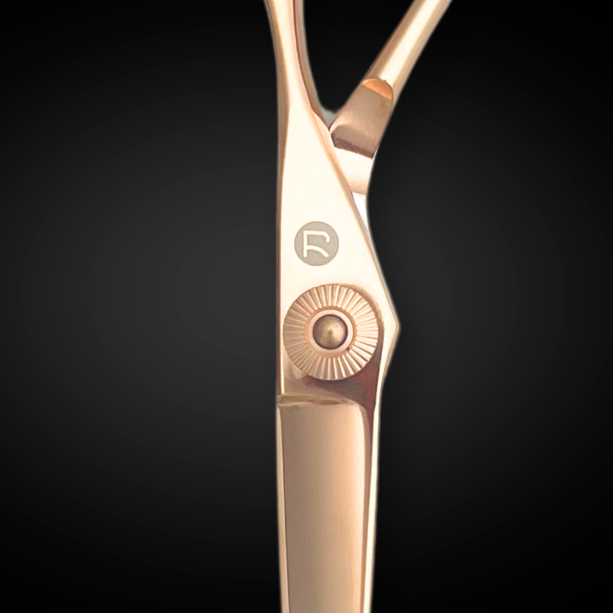 Gold Saki Tsuru Hairdressing Shears Set (Hair Cutting and Thinning Shears)