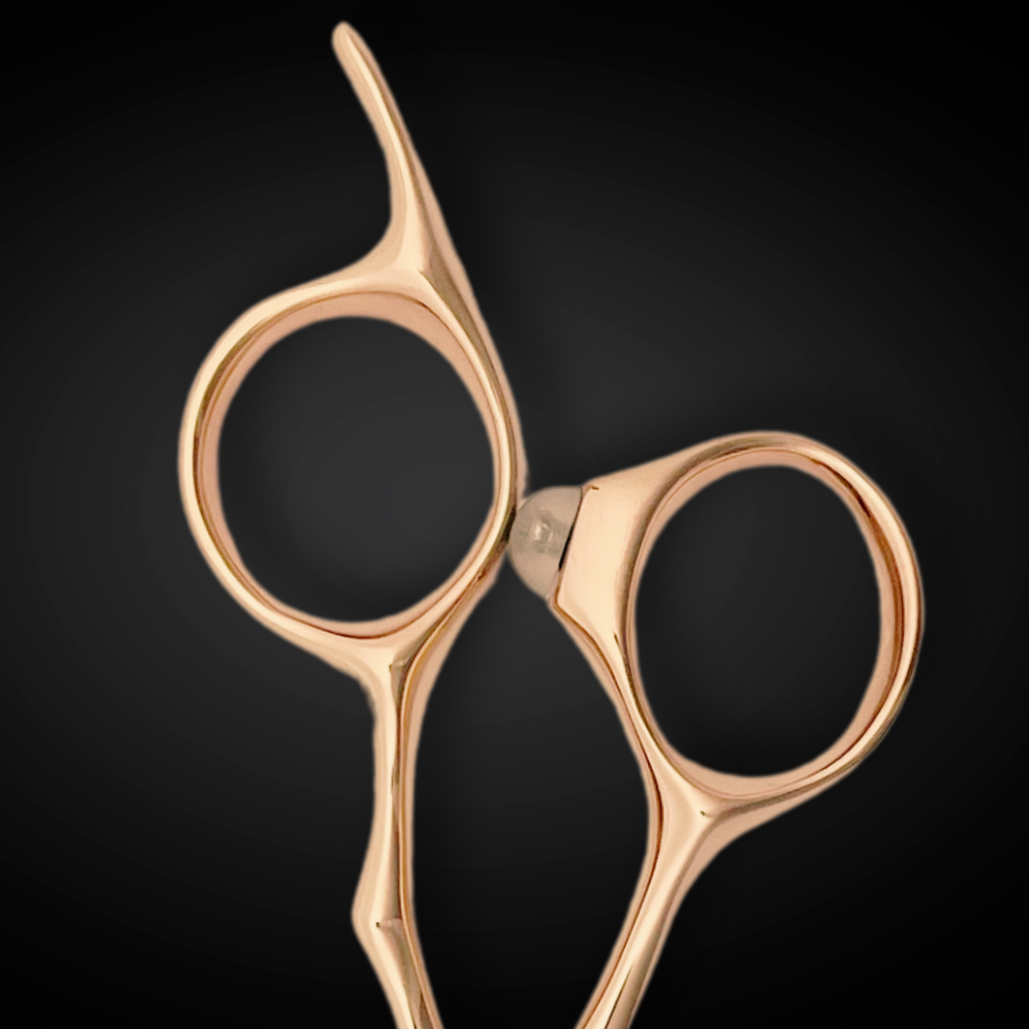 Gold Saki Ikigai Hairdressing Shears Set (Hair Cutting and Thinning Shears)