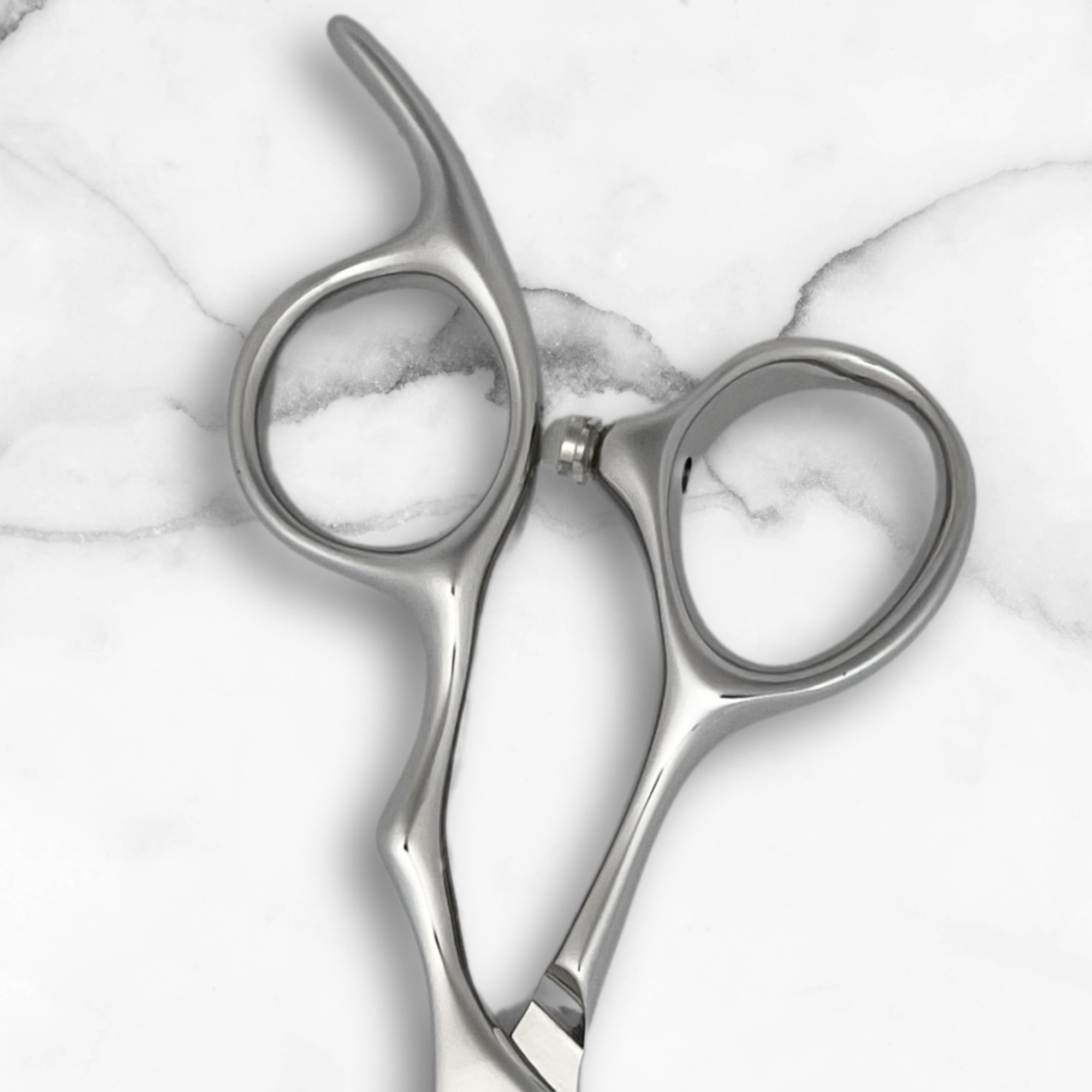 6" Hair Cutting Shears - Ascent