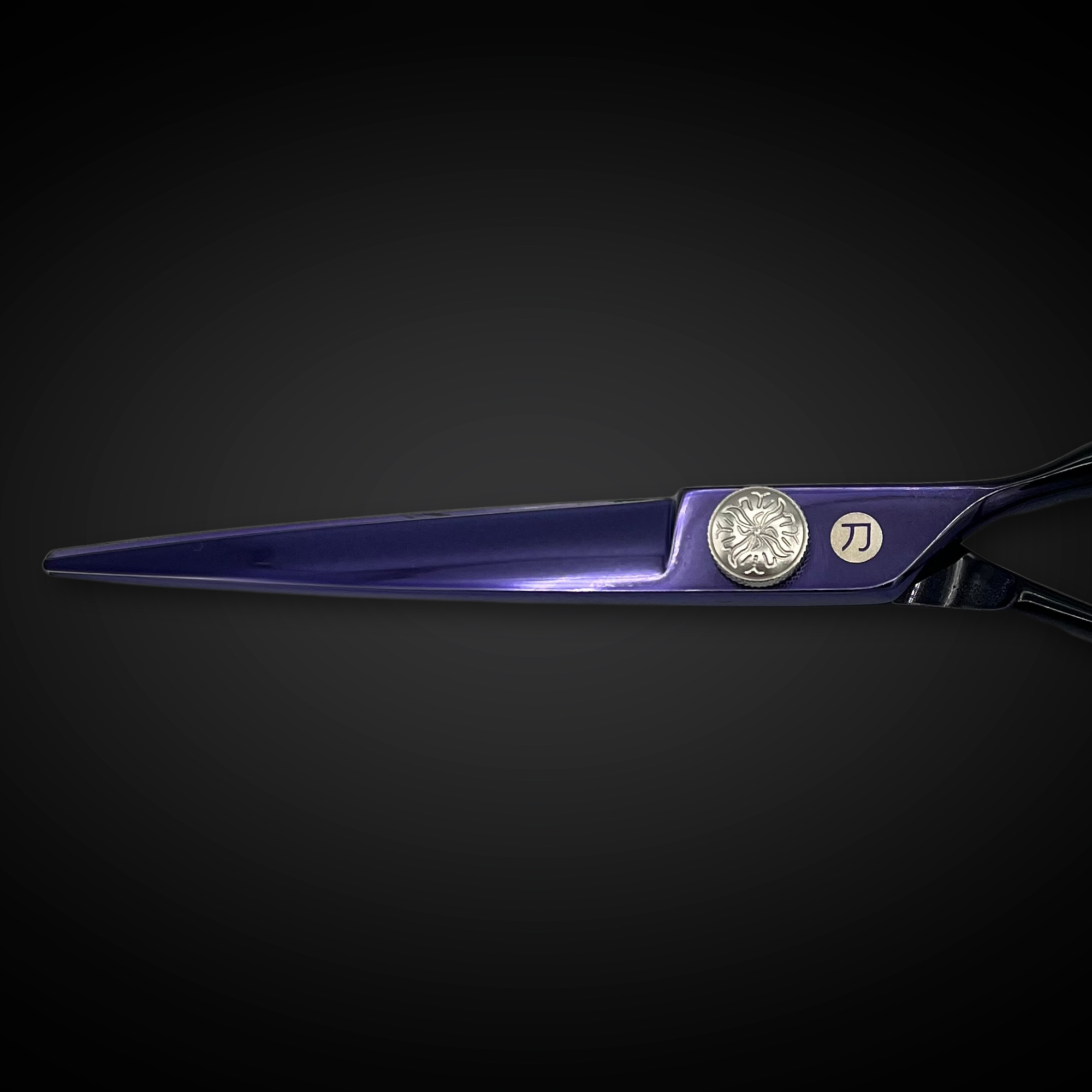 Purple Saki Nebula 6" Hair Cutting Shears/Scissors