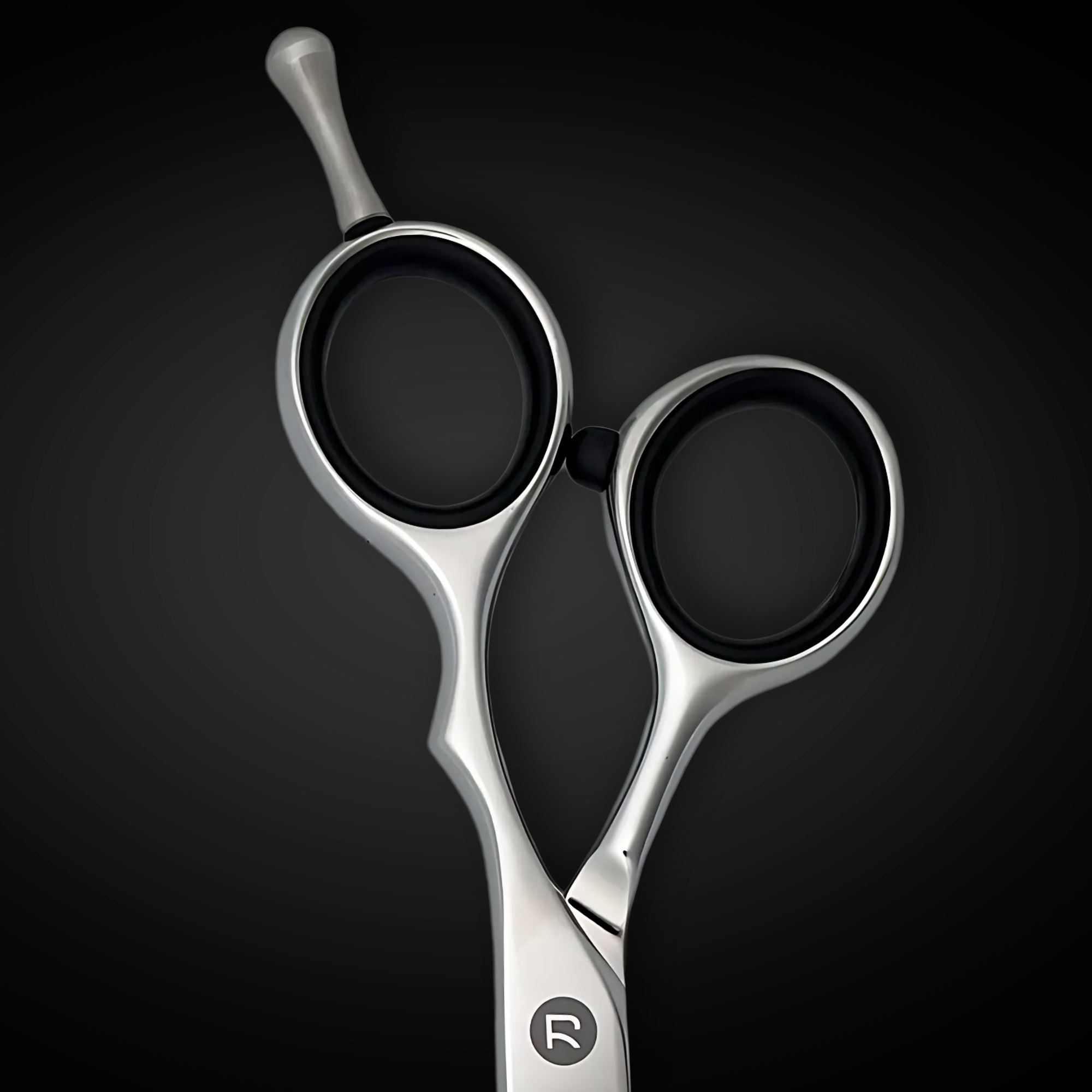Makoto Student Hairdressing Shears Set (Hair Cutting and Thinning Shears)