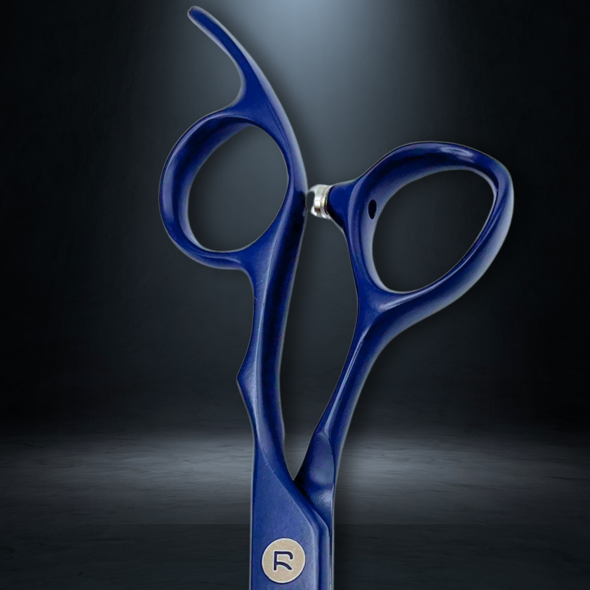 Blue Hair Cutting Shears