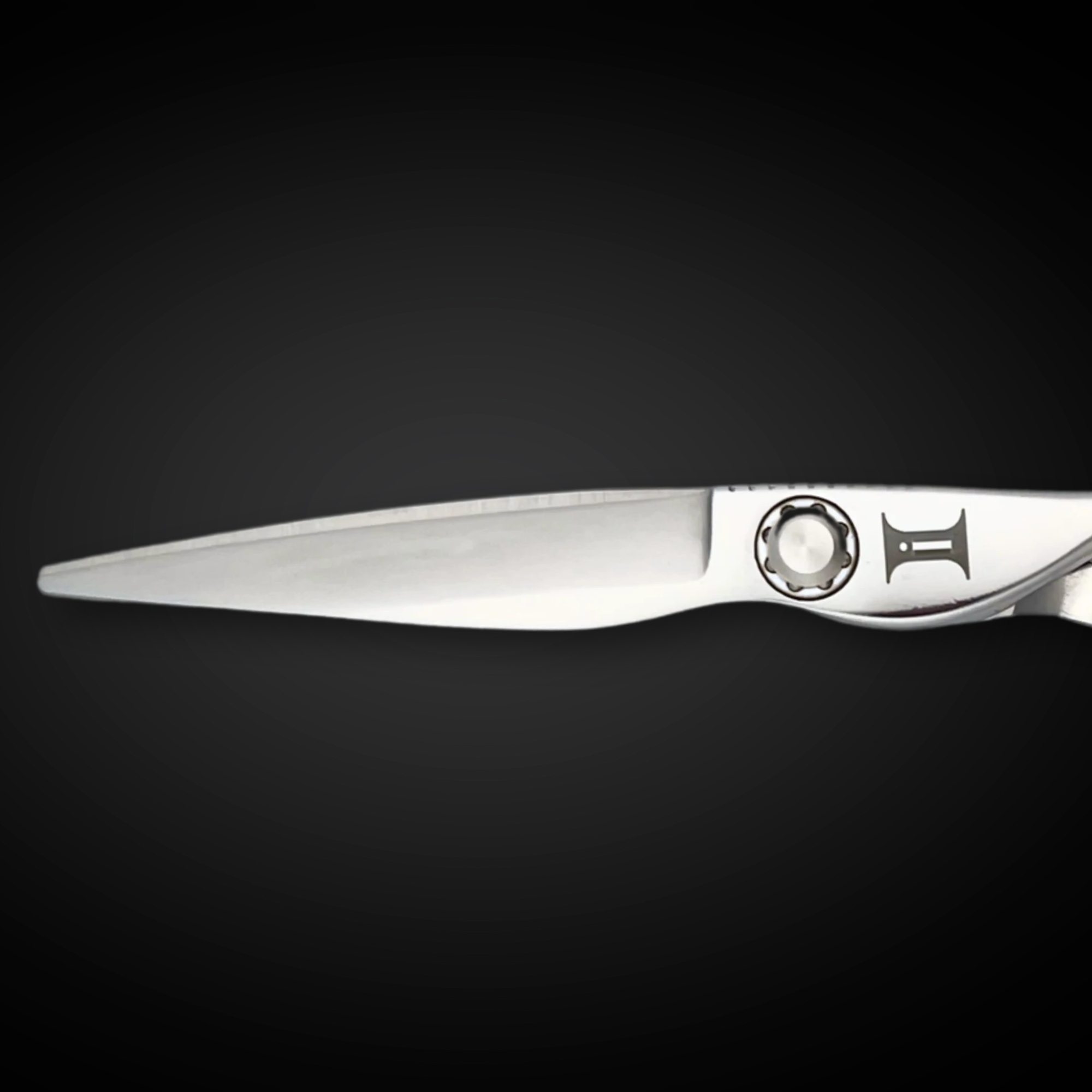 6" Hair Cutting Shears - Ascent