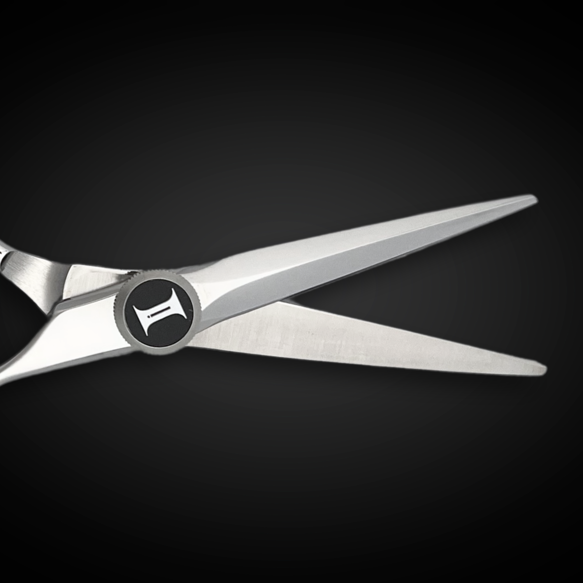 5.5" or 6" Hair Cutting Shears - Zenith